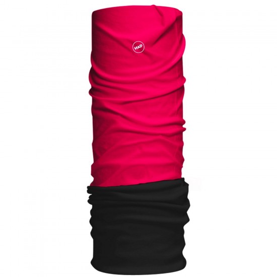 Fuchsia Fuchsia