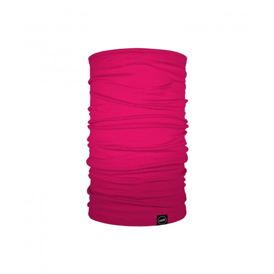 Fuchsia Fuchsia