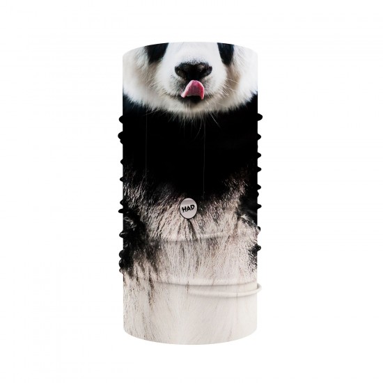 Panda Panda